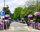 Lamp-post basket flower displays