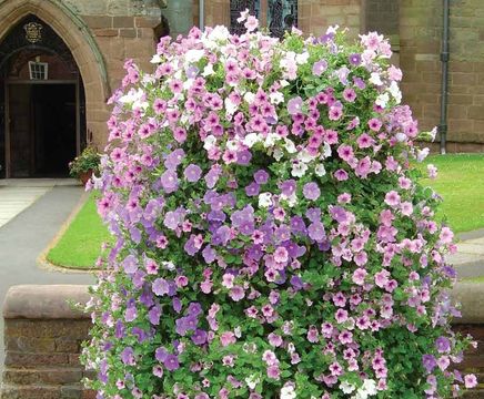 Colour-Fall Towers - tiered planters