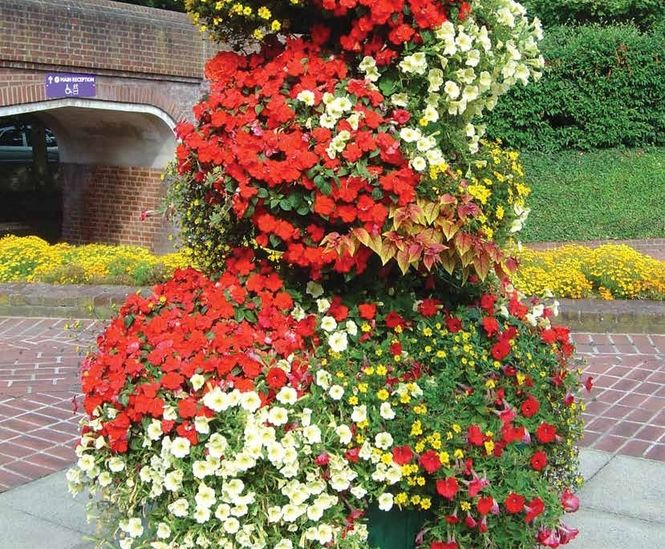 Flower Towers square base Plantscape