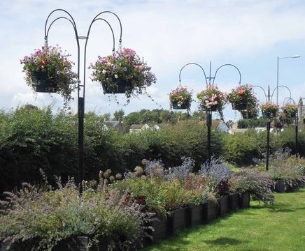 Basket Trees - hot dip galvanised, powder coated