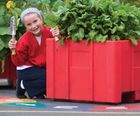 Vegee-Table polyethylene educational vegetable planters