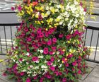 Flower Towers - circular base