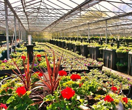 Holestar planters - Melton Mowbray in Bloom