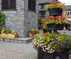 Floral planters encourage visitors to Welsh market town
