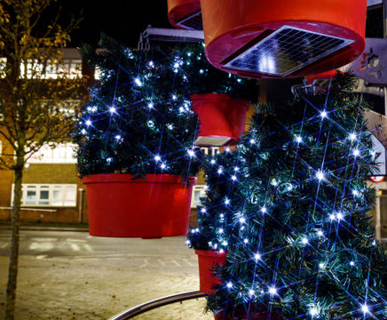 Solar-powered Christmas trees