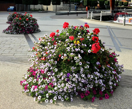 Floor-standing planters