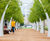 D-MAN® tree fixing system 9