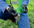Tree Anchors - Guy Fixing Systems 7