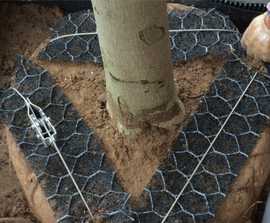 Permanent tree anchoring systems