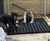 G-WALL living wall for private garden 1