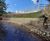 Stabilisation and remediation of collapsed riverbank 0