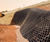 Slope stabilisation, Birmingham Health Innovation Campus 9