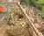Percussion Driven Earth Anchors aid repairs to walls 10