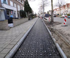 ArborRaft geocellular tree root protection system