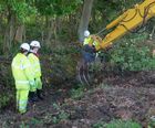 Sensitive tree & vegetation clearance works, A46 Newark