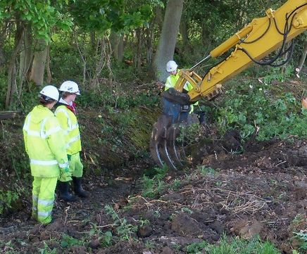 Sensitive tree & vegetation clearance works, A46 Newark