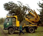 Tree moving and transplanting