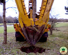 Tree moving, Buckinghamshire Golf Club