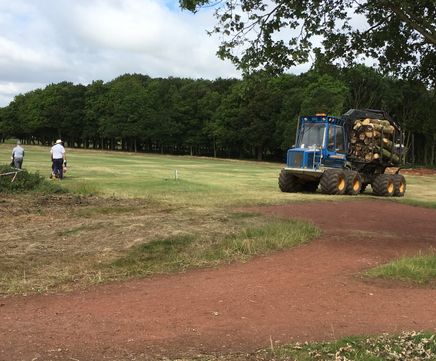 Tree clearance for golf course – HS2 enabling works
