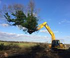 Tree and hedge clearance - £104m road enhancement scheme