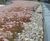 Enviromat® - sedum matting for extensive green roofs 2