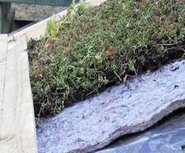 Enviromat sedum green roof kit for pitched roofs