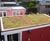 Enviromat Sedum Matting for domestic flat roofs 6