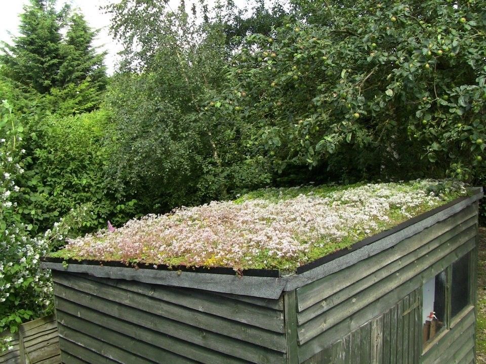 Enviromat Sedum Green Roof Kit for pitched roofs | Harrowden Turf | ESI ...