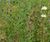 Meadowmat® Woodland Shade - wildflower matting 2