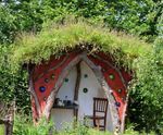 Meadowmat wildflower turf for roof meadows