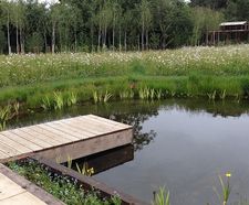 Low maintenance wildlife garden in Norfolk