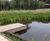 Low maintenance wildlife garden in Norfolk 0