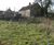Low maintenance wildlife garden in Norfolk 1
