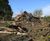 Low maintenance wildlife garden in Norfolk 2