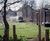 Low maintenance wildlife garden in Norfolk 4