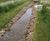 Low maintenance wildlife garden in Norfolk 7