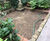 Wildlife-friendly alternative lawn in back garden 2