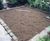 Wildlife-friendly alternative lawn in back garden 3