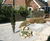 Japanese style dry garden featuring sedum matting 1