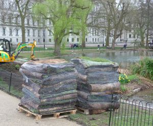 Meadowmat wildflowers installed in London's Royal Parks