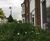 Green roof creates interest for nursery children 3
