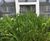 Green roof creates interest for nursery children 2