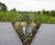 Childrens' Memorial Garden created in just 3 weeks 6