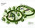 Childrens' Memorial Garden created in just 3 weeks 0