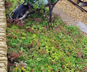 Enviromat sedum ground mat kit