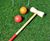 Premium Lawn Turf for all-round use 5
