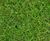 Garden Lawn - general-purpose turf 1