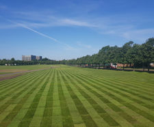 Re-turfing a 550 year old park - Glasgow Green