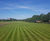 Re-turfing a 550 year old park - Glasgow Green 0