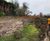 Premium Turf provides feature area for new modern garden 3